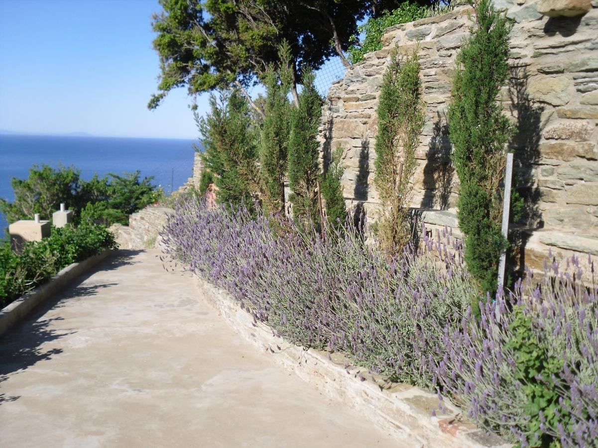 Aegean Castle Andros - Adults Only Aparthotel Αγία Ελεούσα Εξωτερικό φωτογραφία